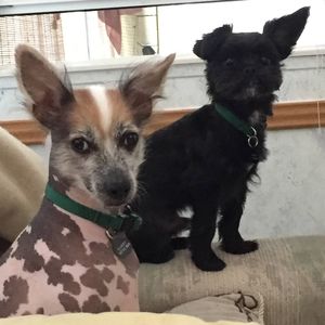 Meet your Posher, Sandra